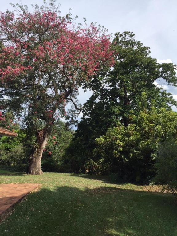  Pousada Fazenda Pinhalzinho