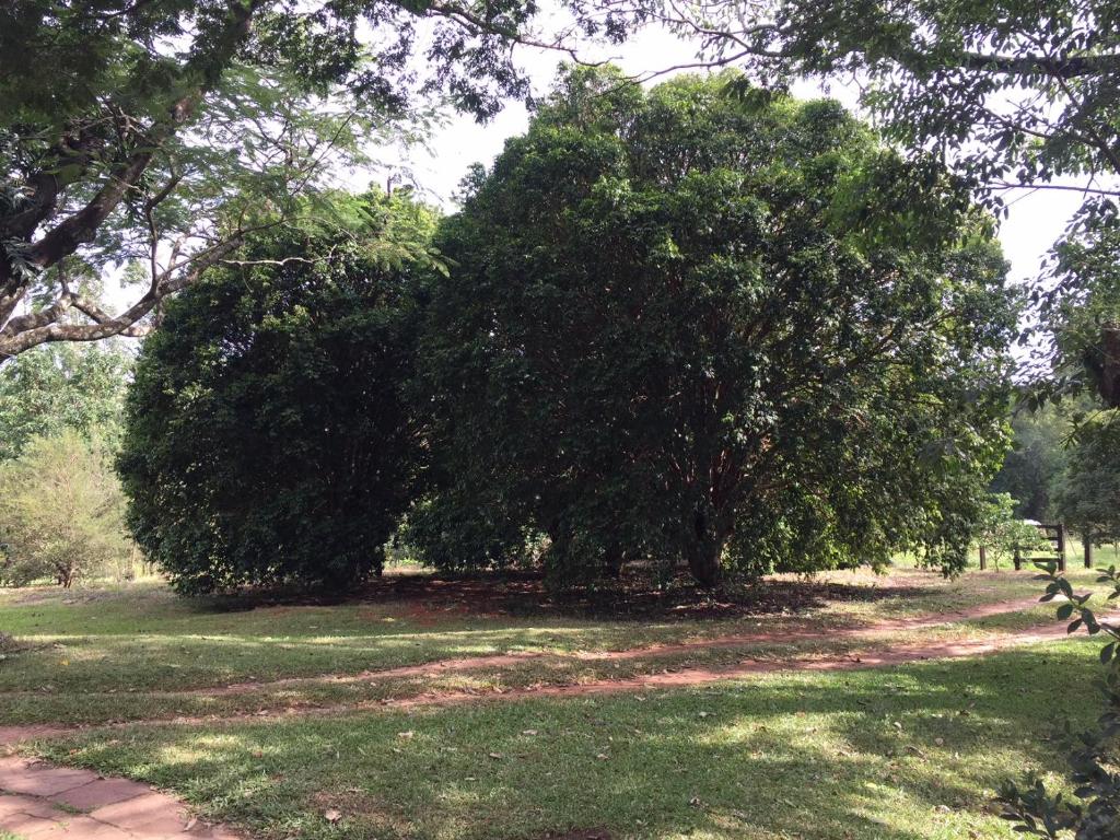 Zahrada ubytování Pousada Fazenda Pinhalzinho