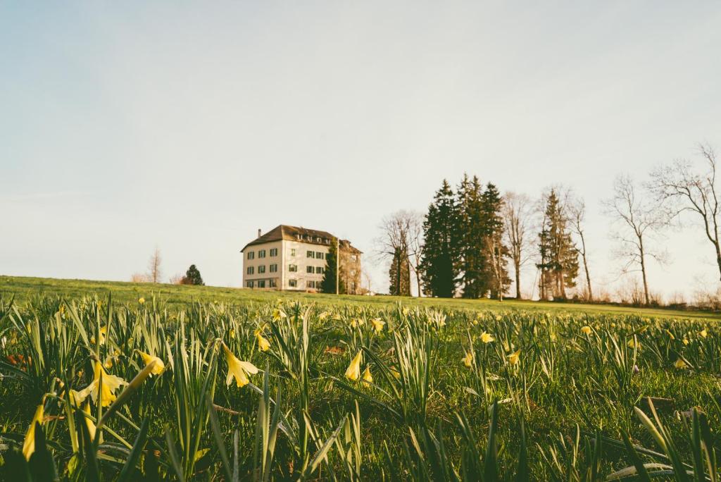 Fotografie z fotogalerie ubytování Hôtel de la Chaux-d'Abel v destinaci La Ferrière