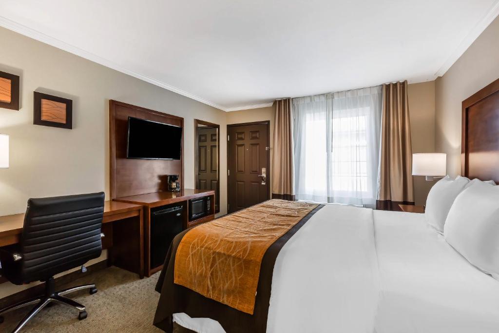 Comfort Inn Santa Monica - West Los Angeles - Standard Room, 1 King Bed, Non Smoking