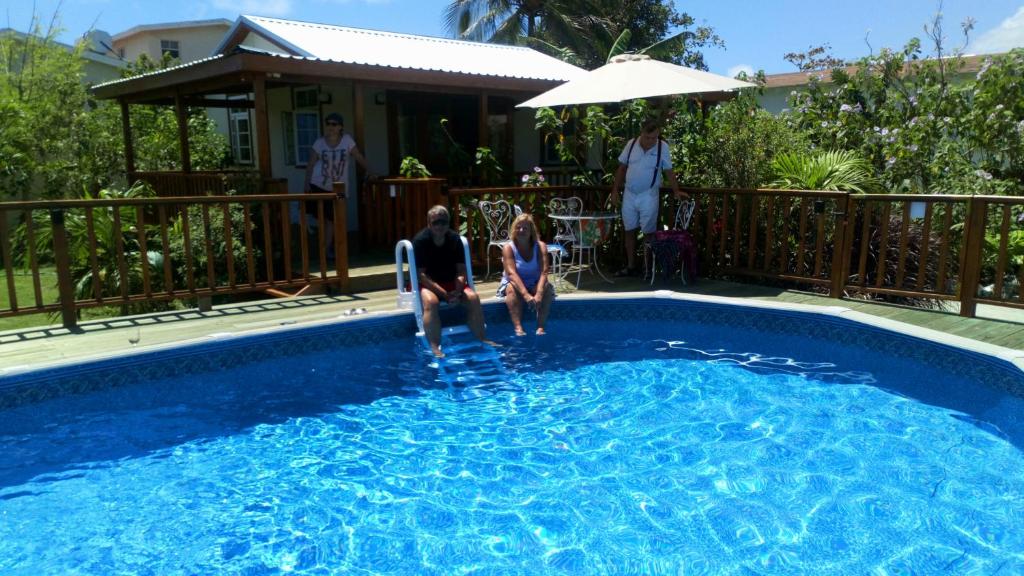 un groupe de personnes assises dans une piscine dans l'établissement The Pool House, à Saint Philip