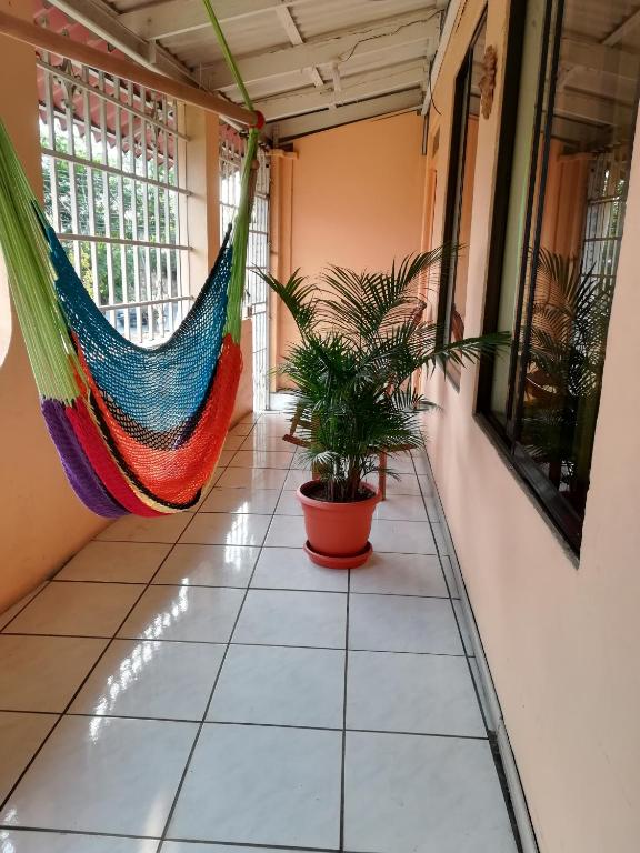 Fotografie z fotogalerie ubytování Belis v destinaci Alajuela