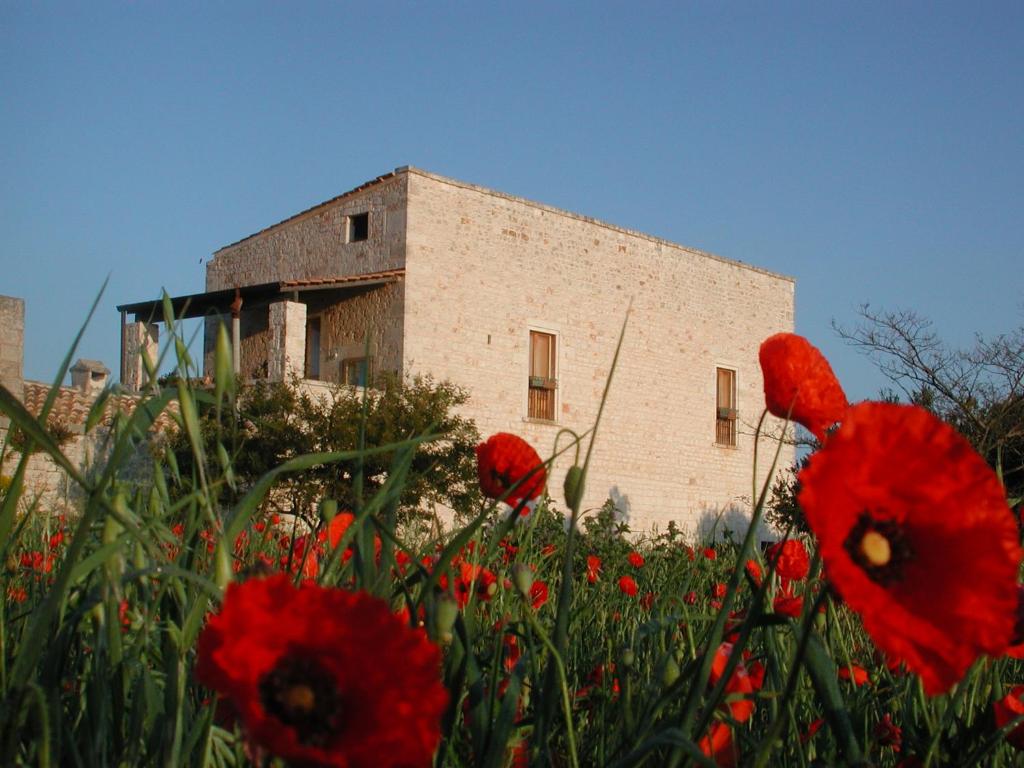 a field of red flowers in front of a building at Masseria dei Monelli in Conversano