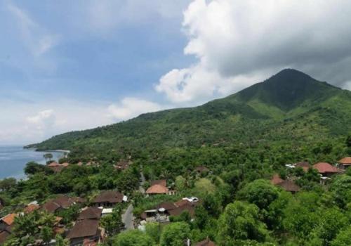 Baliku Dive Resort - 14