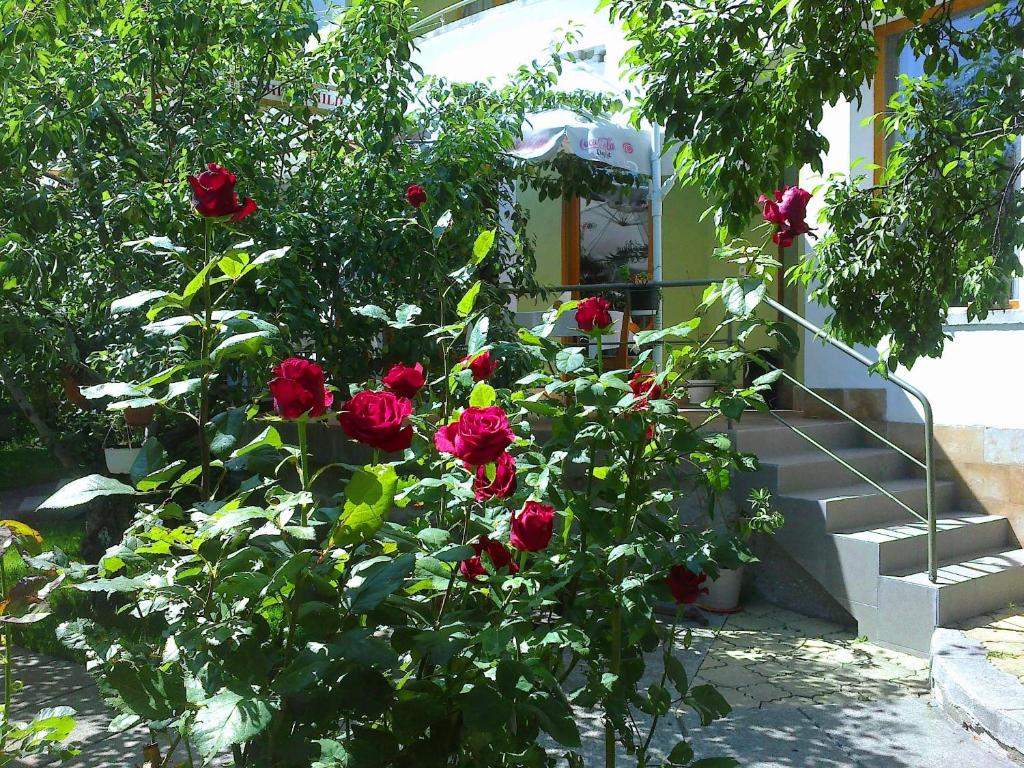 Zahrada ubytování Family Hotel Sonata