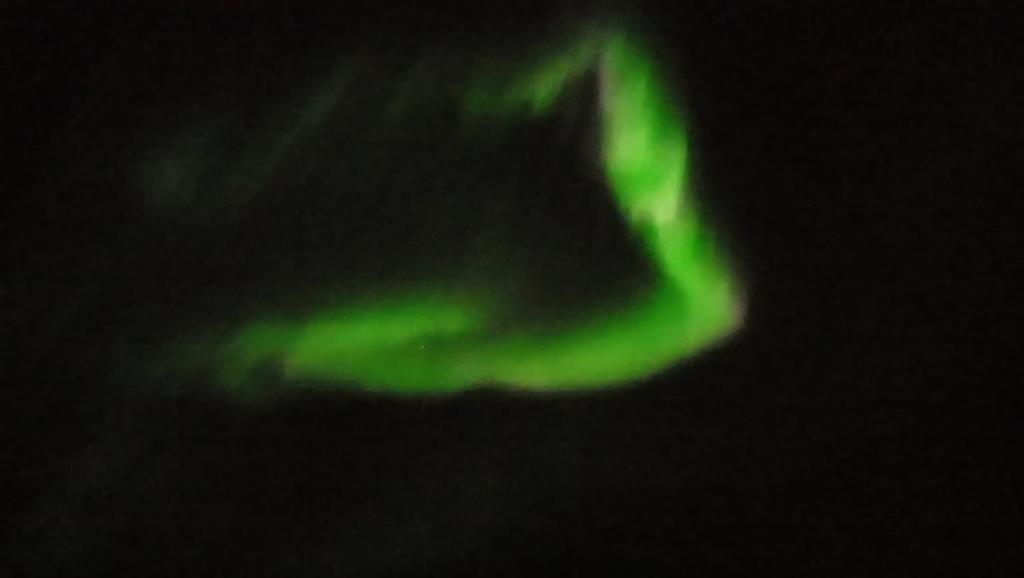 an image of a cat with a green northern lights at Nivagården in Korpikylä