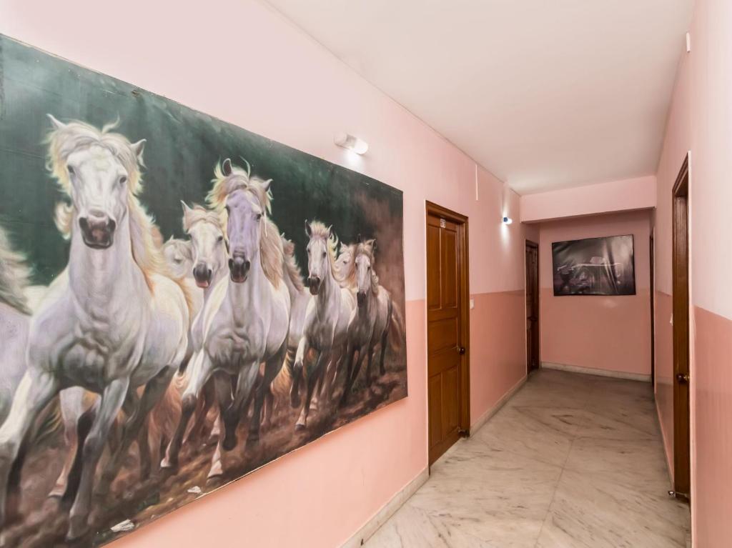 Zvířata v penzionu nebo okolí