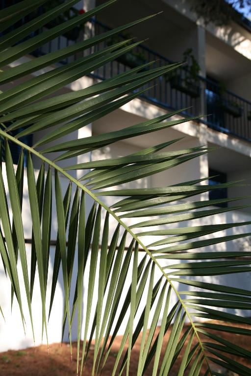 Fotografie z fotogalerie ubytování Hotel Sali v destinaci Sali