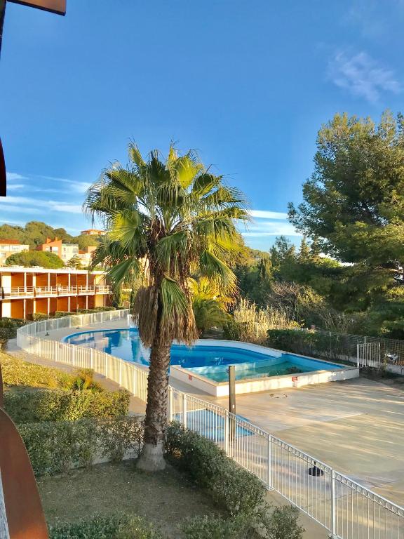 un palmier en face d'une piscine dans l'établissement Appart les terrasses du Liouquet, à La Ciotat