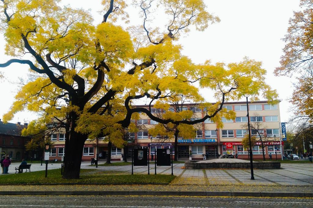 Hotel Veronika - Resim 41