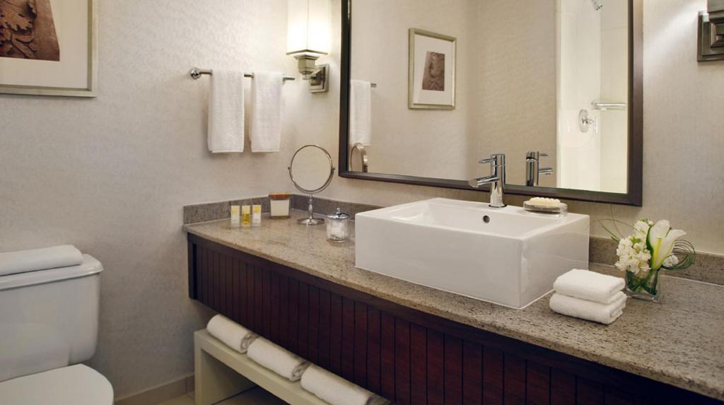 Hyatt Regency Saint Louis at The Arch - Deluxe King Room