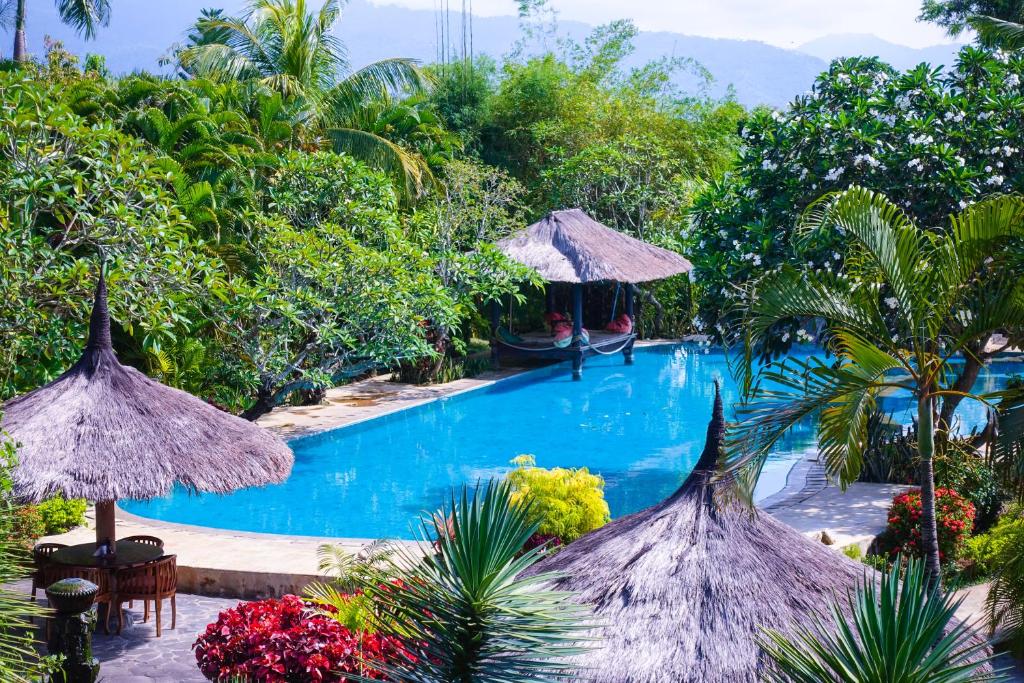 Bazén v ubytování Medana Resort Lombok nebo v jeho okolí