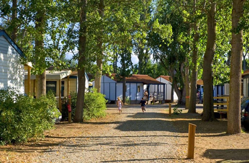 Zahrada ubytování Camping La Dune