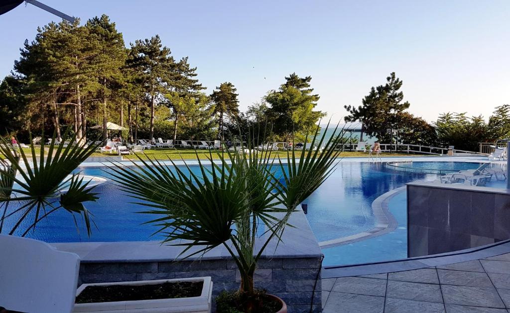a swimming pool with two palm trees next to it at Blue Bay Sea View in Pomorie