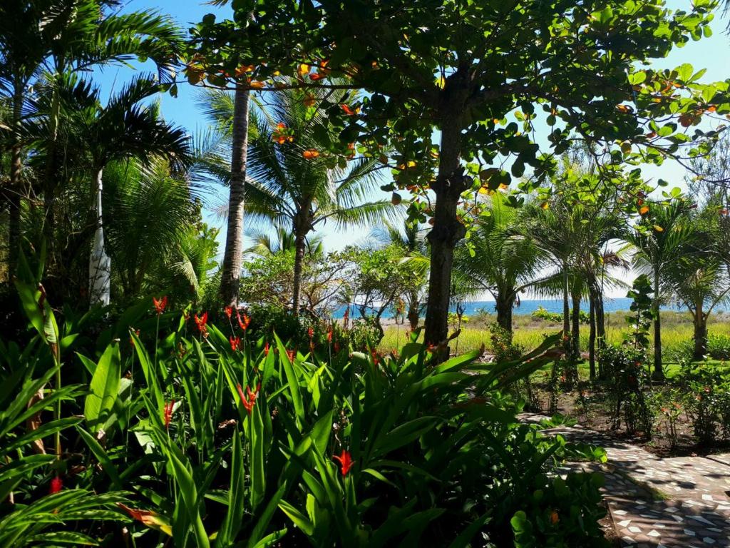 Zahrada ubytování Las Olas Beach Resort