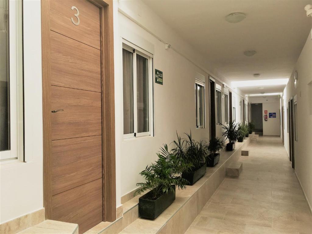 a corridor of an office building with potted plants at Apartamentos Calypso in Punta Umbría