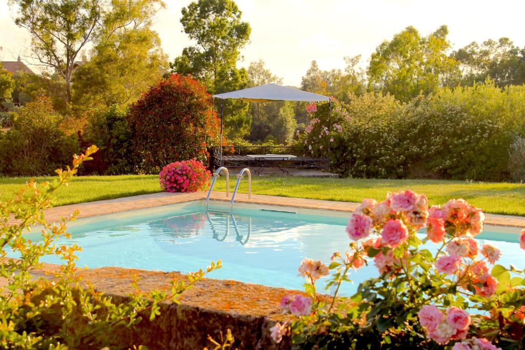 uma piscina com um guarda-sol num jardim em Casale Cacciata Grande Elisa em Pescia Romana