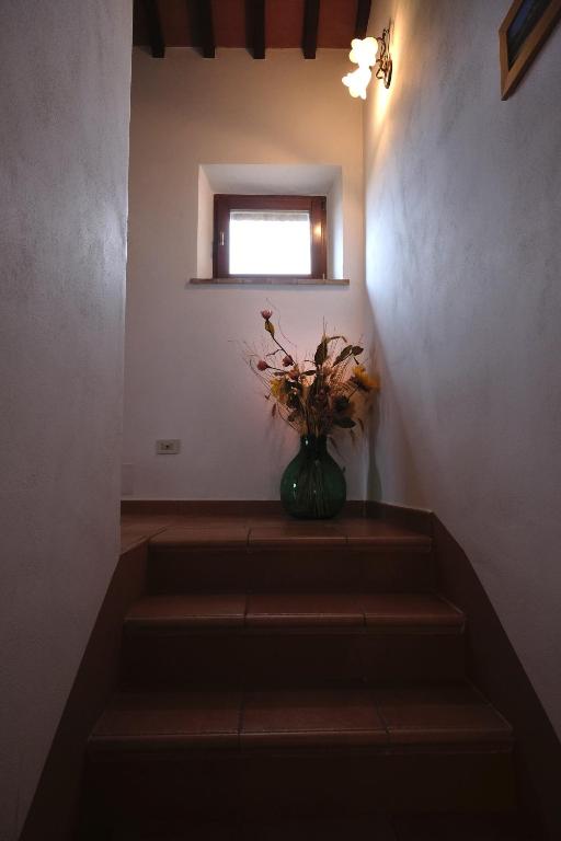 Podere Cacchini - 12