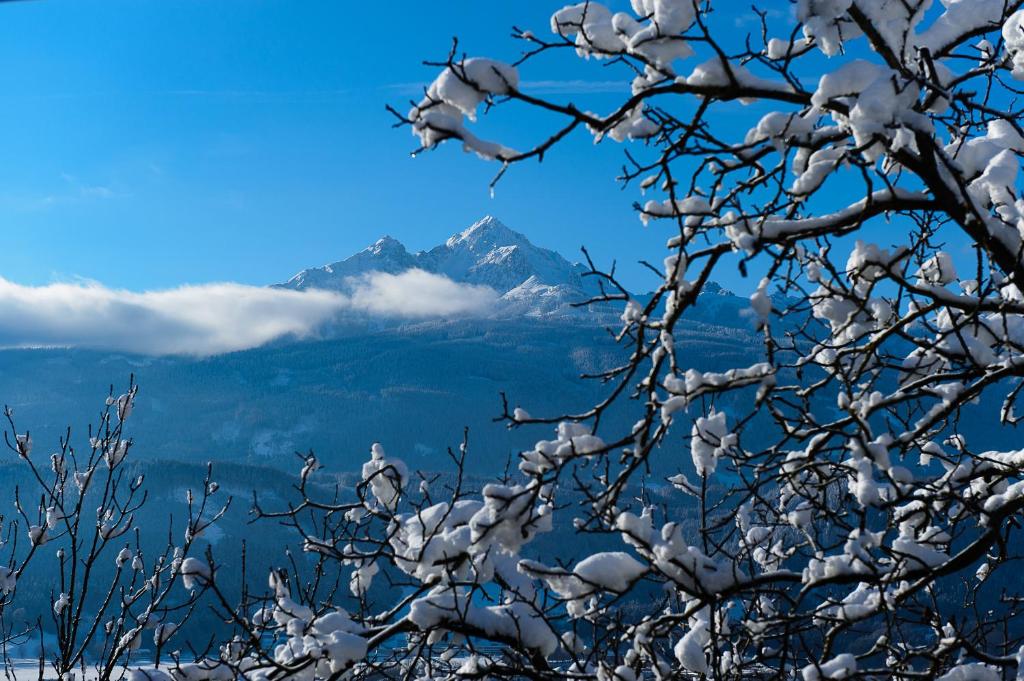 "Innsbruck Moments" Kasperhof Appartements - 12