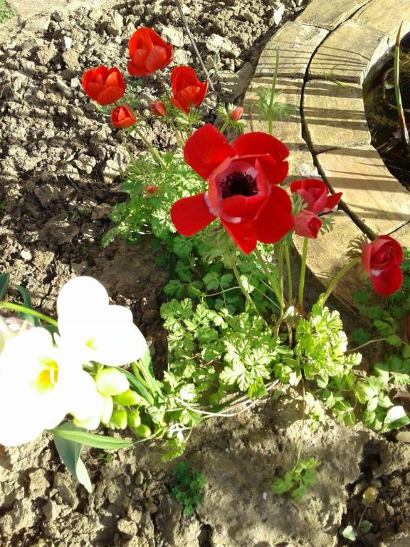 Derechos de imagen reservados por Booking.com