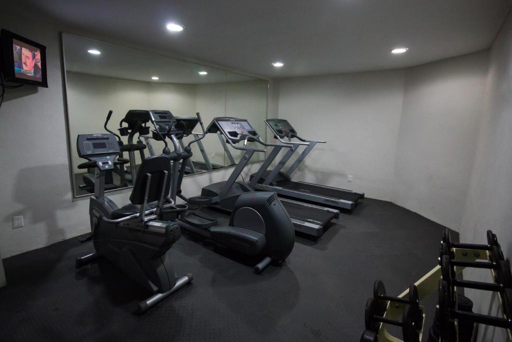Fitness centrum a/nebo fitness zařízení v ubytování Hotel Loma Real