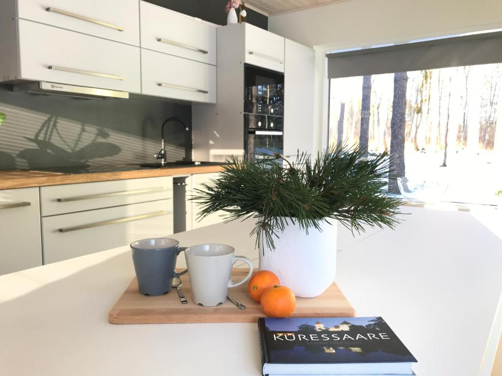 a kitchen counter with two cups and a book and oranges at Villa Männituka in Kirikuküla