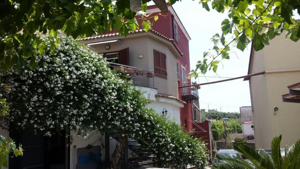 a building with white flowers on the side of it at Bed & Breakfast Fuocomuorto in Ercolano