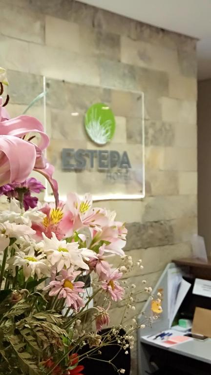 Estepa Hotel - Housity