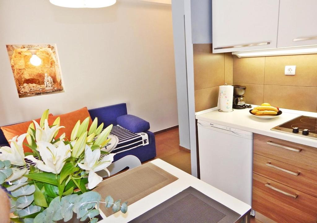Kuchyň nebo kuchyňský kout v ubytování Guest House Varos