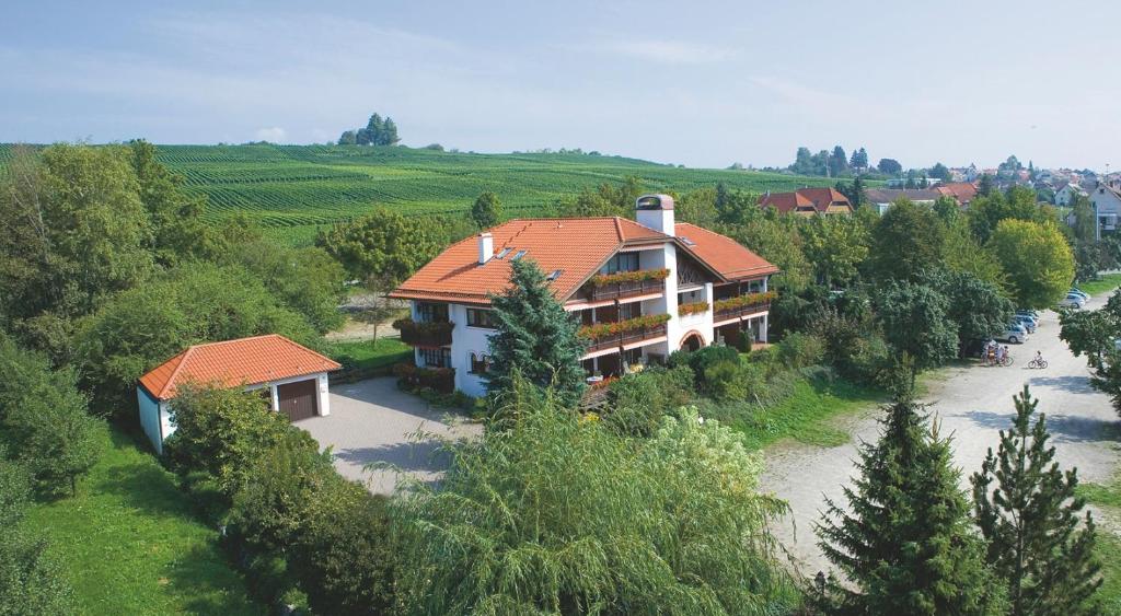 eine Luftansicht eines Hauses in der Mitte eines Flusses in der Unterkunft Hotel Alpina in Hagnau