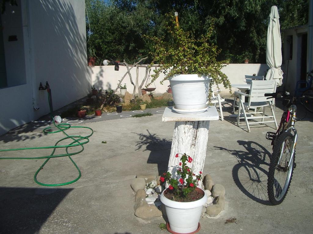 Jízda na kole v ubytování Skyros Panorama Studios nebo okolí