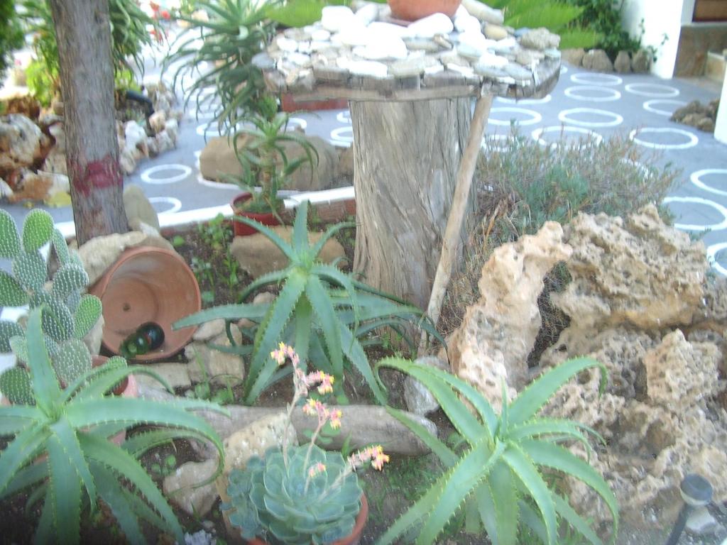Zahrada ubytování Skyros Panorama Studios