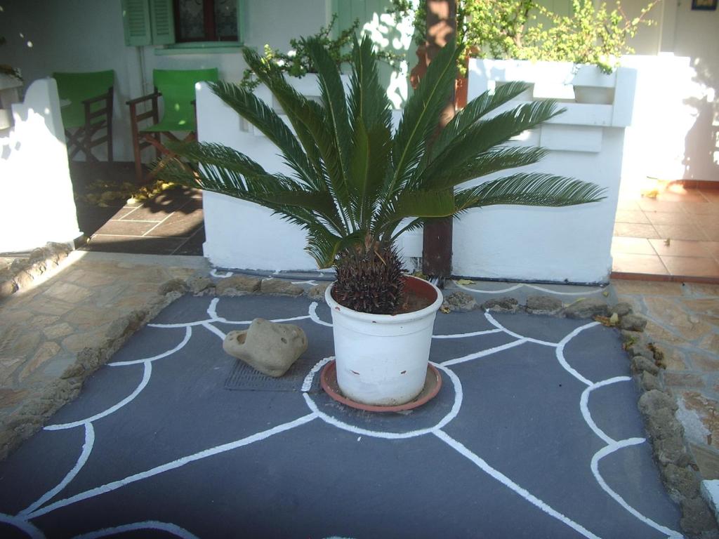 Zahrada ubytování Skyros Panorama Studios
