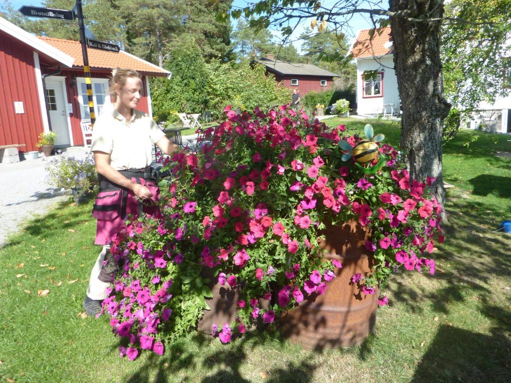 Zahrada ubytování Tavlebords Honungsgård