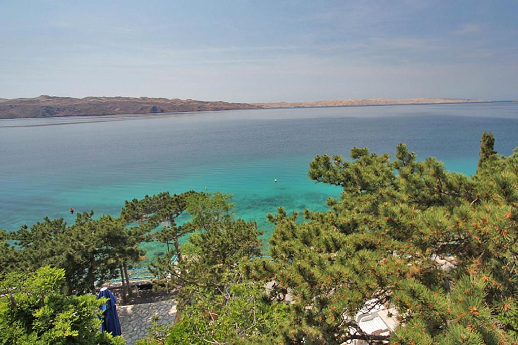 a view of a body of water with trees at Apartment Christian in Karlobag