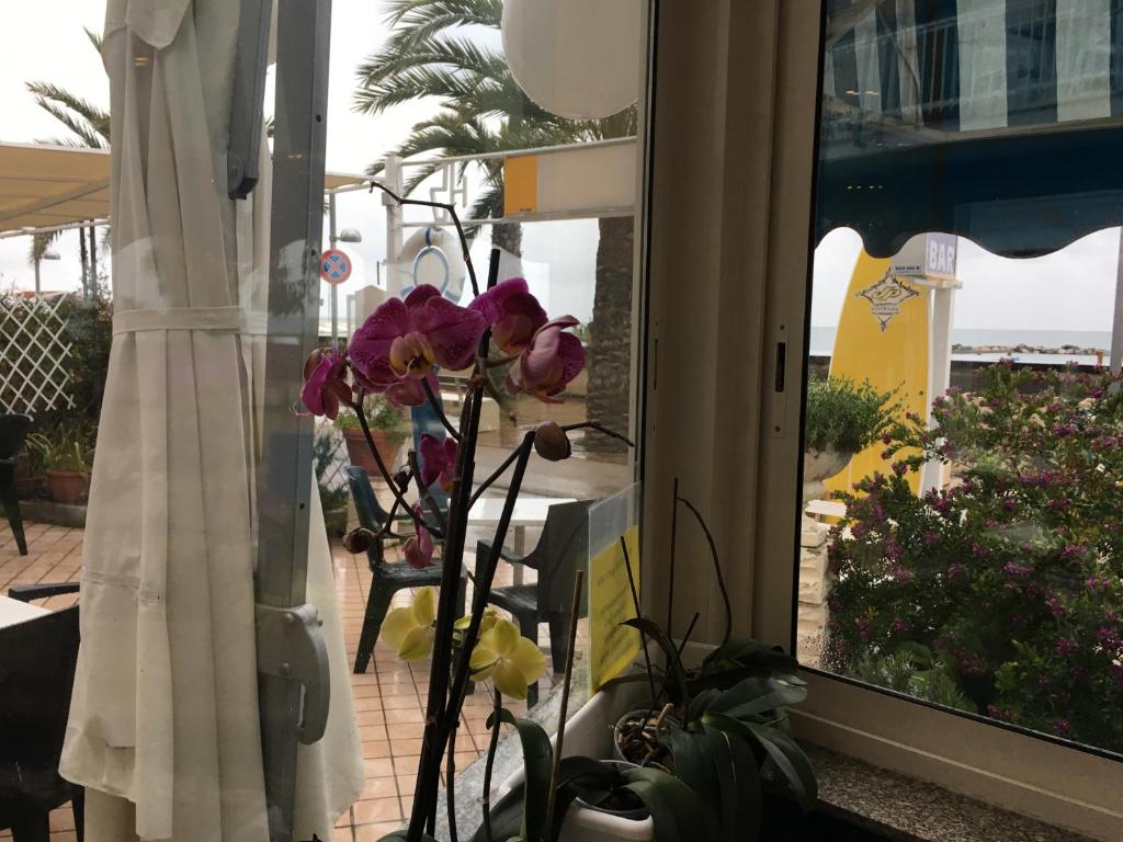 a vase of flowers in a room with a window at Hotel Svizzera in Arma di Taggia