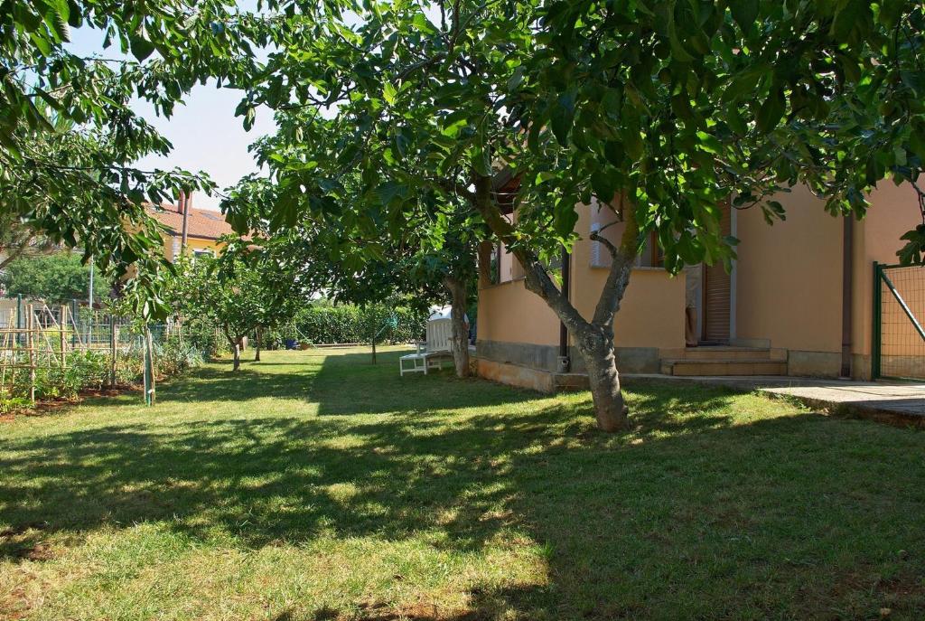 Apartments & Rooms BARBARA - 6