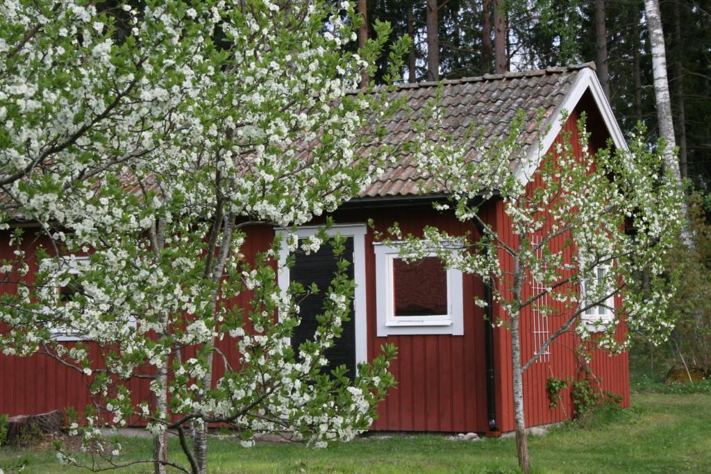 クリスティーネハムンにあるAhornfarm Håkannäsの白窓と木の赤い建物