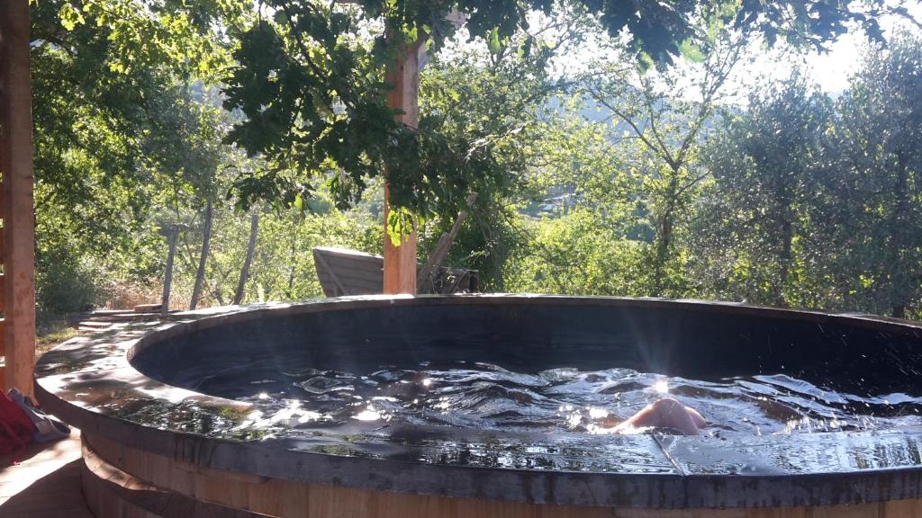 Fotografie z fotogalerie ubytování Bioagriturismo Poderaccio v destinaci Incisa in Valdarno