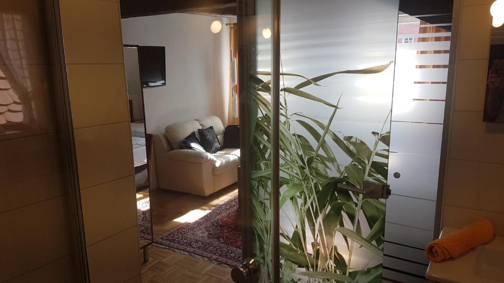 Hotel-Restaurant Goldenes Lamm - 19