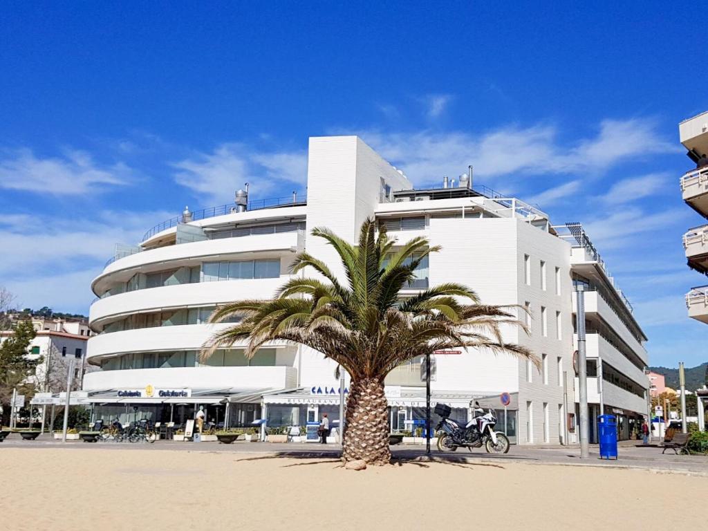 una palma di fronte a un edificio bianco di Ancora Frontbeach Luxury Apartment a Tossa de Mar