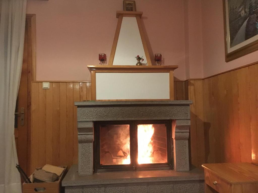 Foto sihtkohas Metsovo asuva majutusasutuse Asteri Metsovou galeriist