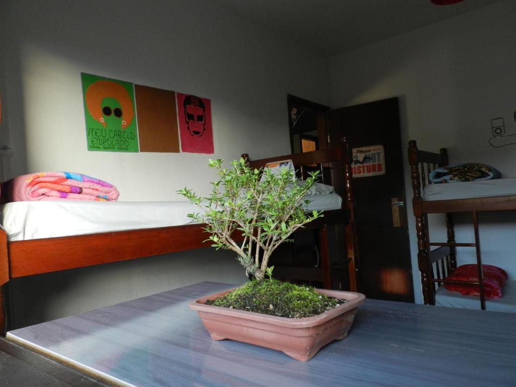  Hostel Resende