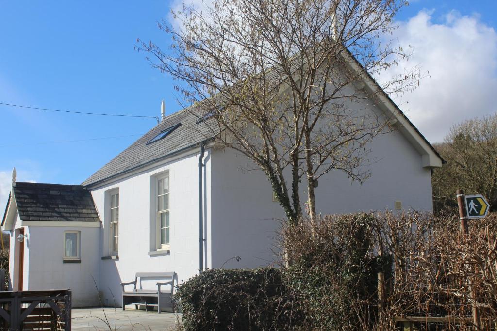 Una casa blanca con un árbol delante. en Capel- Y-Bryniau, en Pennal