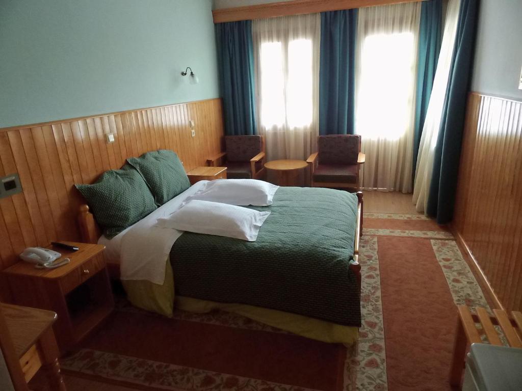 Asteri Metsovou - 12