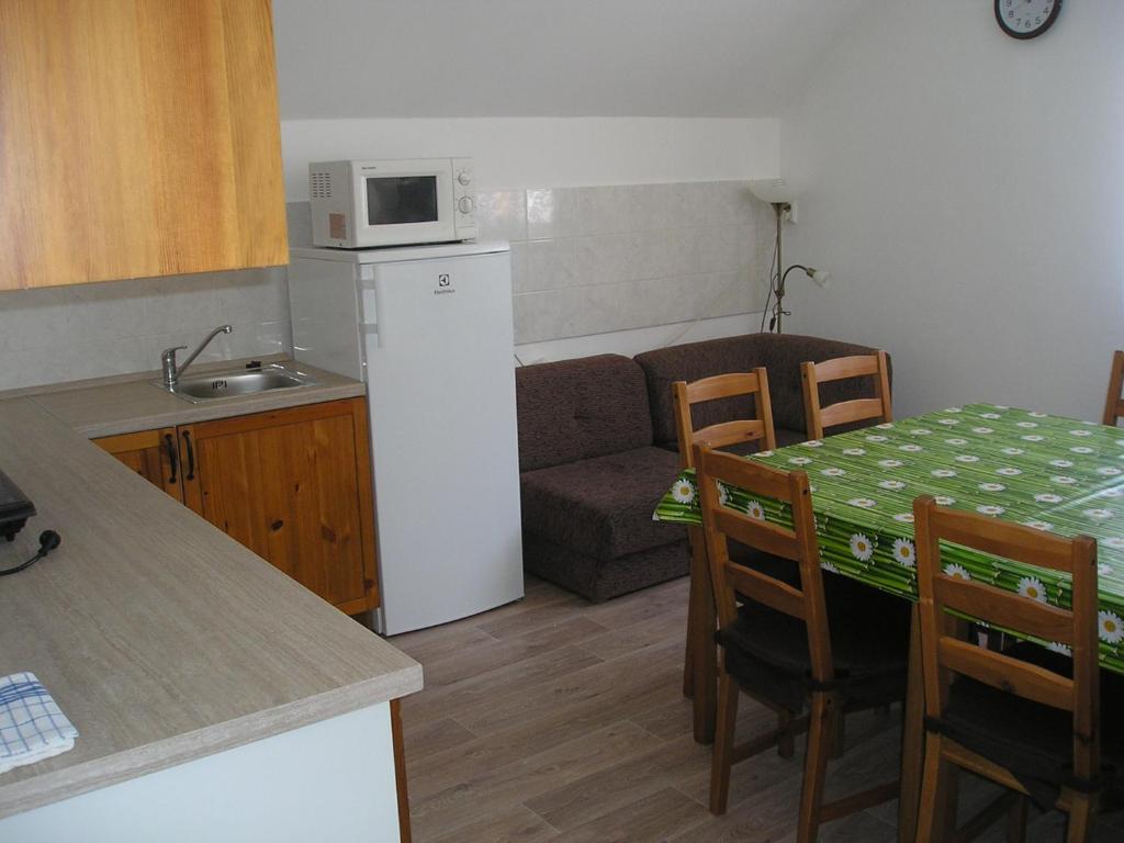 Kuchyň nebo kuchyňský kout v ubytování Apartman Svoboda
