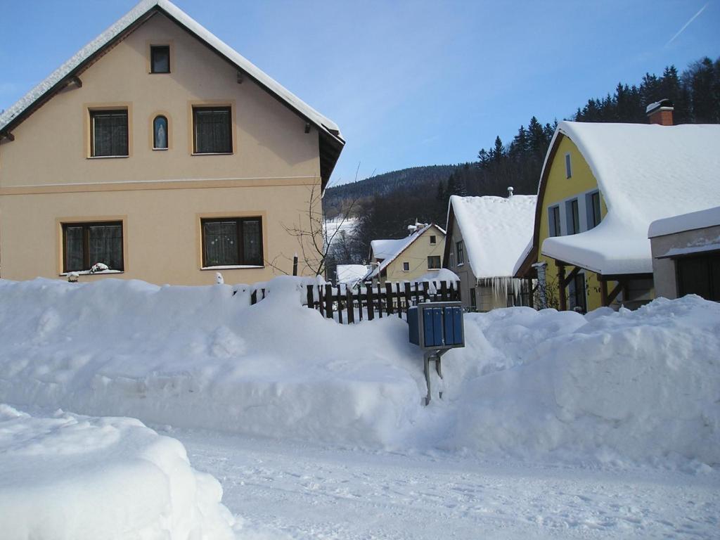 Apartman Svoboda v zimě