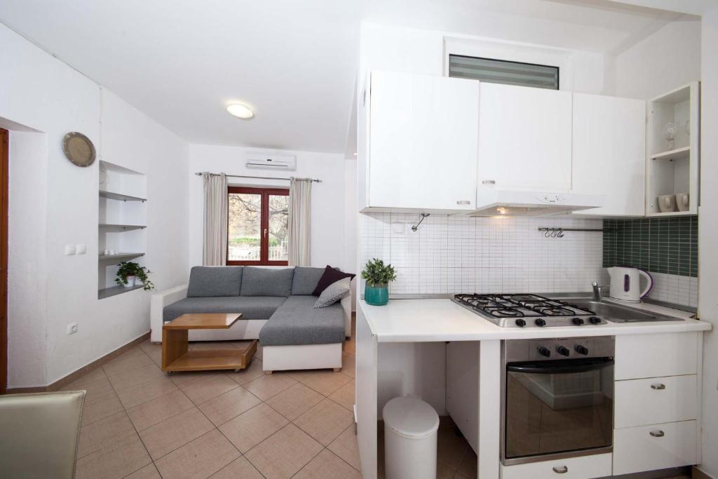 Kuchyňa alebo kuchynka v ubytovaní Villa Makarana Apartments