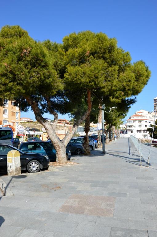 Alicante El Campello DarioDoris, El Campello – Updated 2023 ...