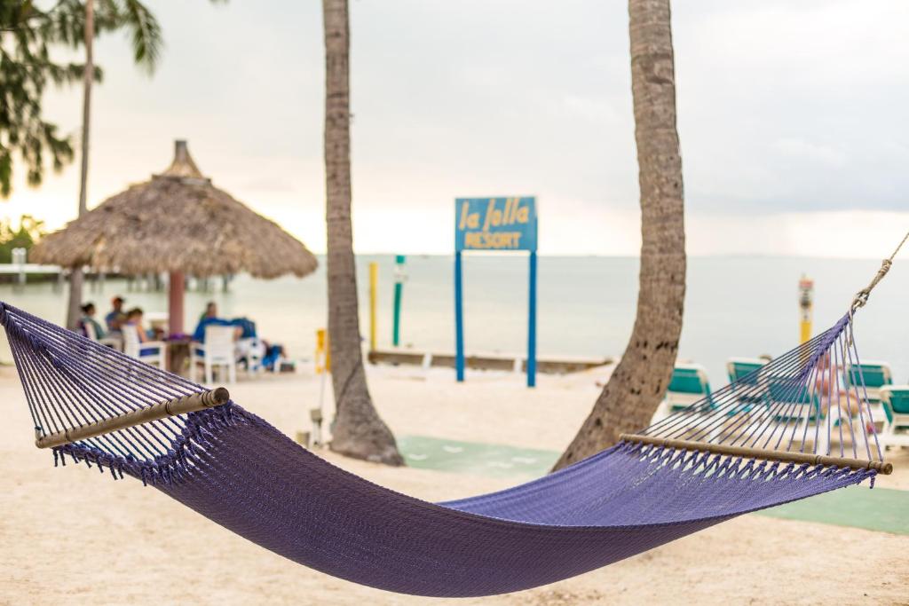 uma rede numa praia com palmeiras em La Jolla Resort em Islamorada